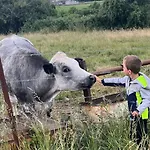 Caravane En Pleine Nature Ferme Proche De Camping