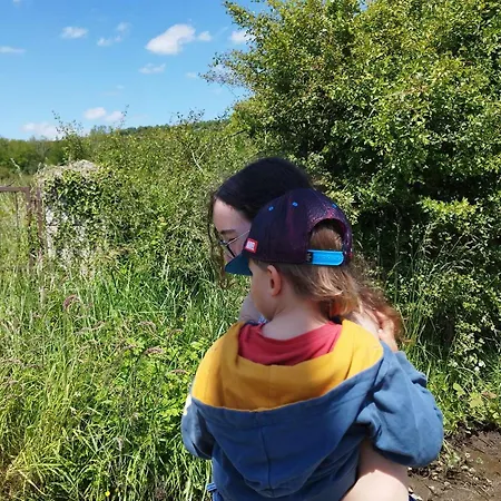 Camping Caravane En Pleine Nature Ferme Proche De *