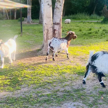 Caravane En Pleine Nature Ferme Proche De Campsite